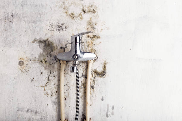 Best Health and Safety Mold Remediation in National Harbor, MD