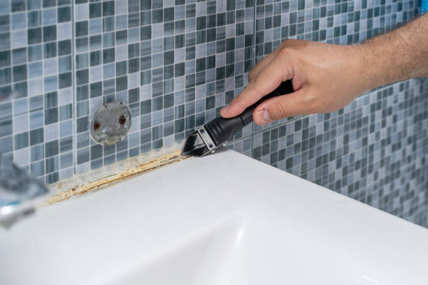 Best Residential Mold Remediation in National Harbor, MD